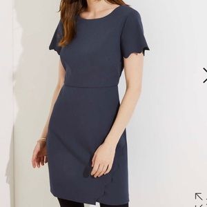 Ann Taylor Sheath Dress with Scallop Detail